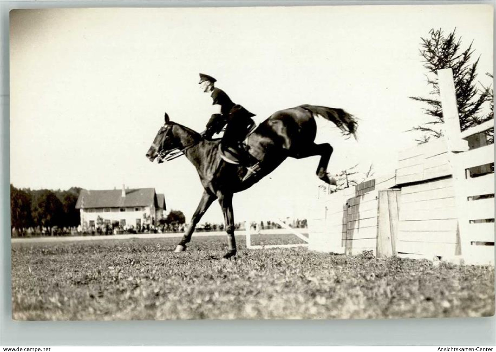 13301874 - Ried im Innkreis