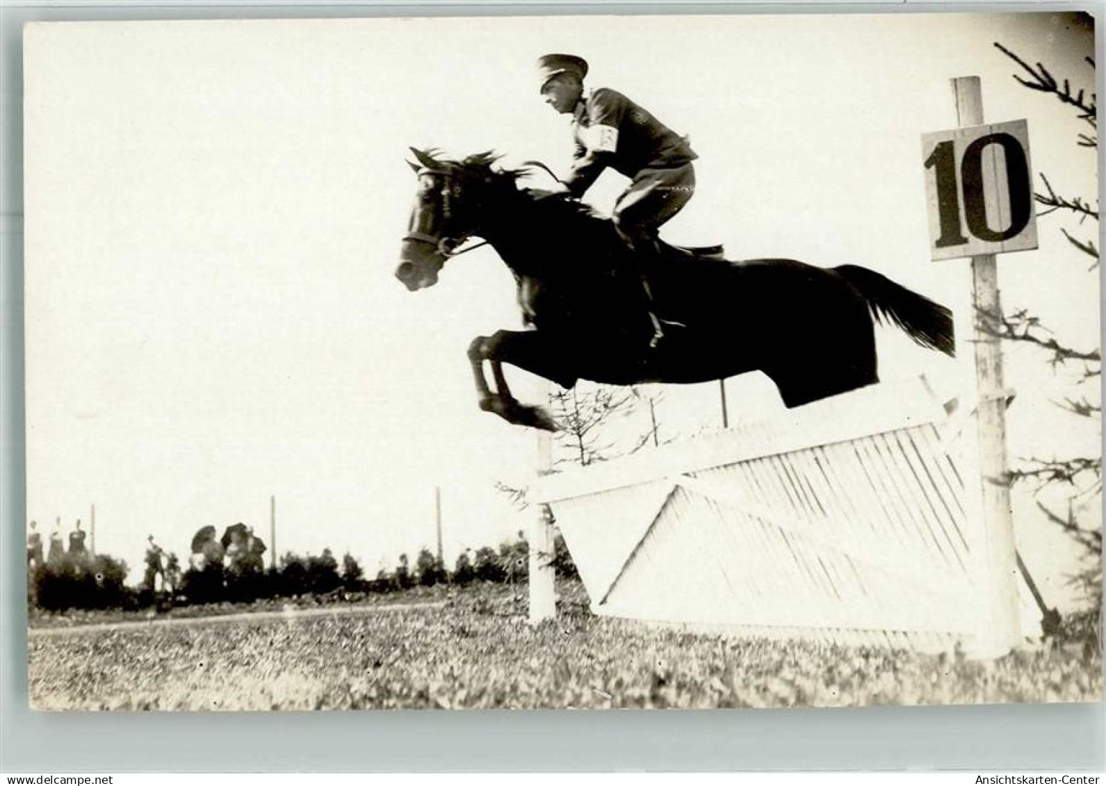 13301877 - Ried im Innkreis