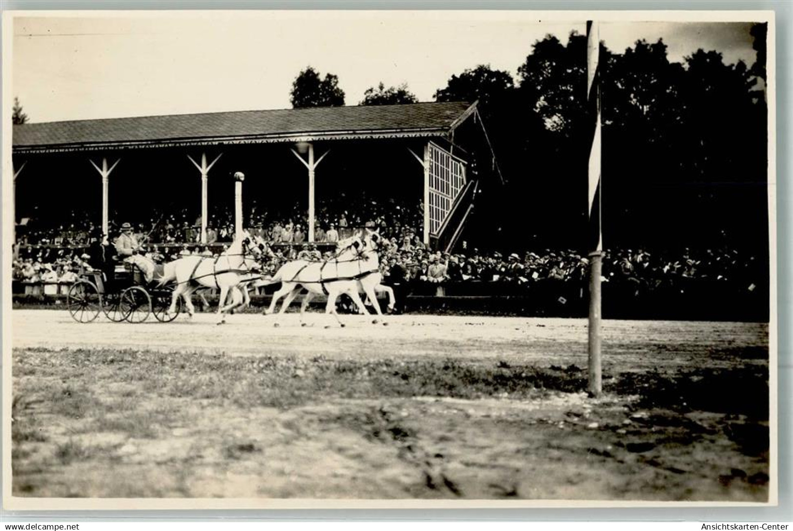 13301887 - Ried im Innkreis