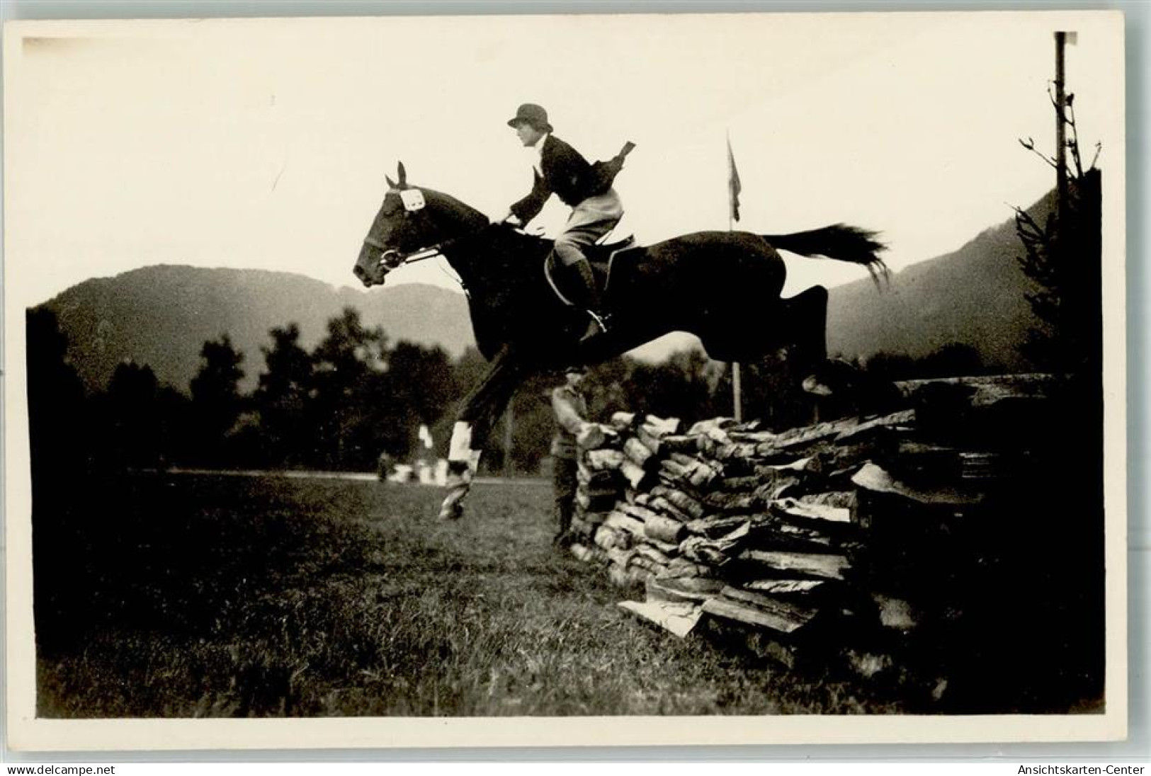 13301892 - Ried im Innkreis