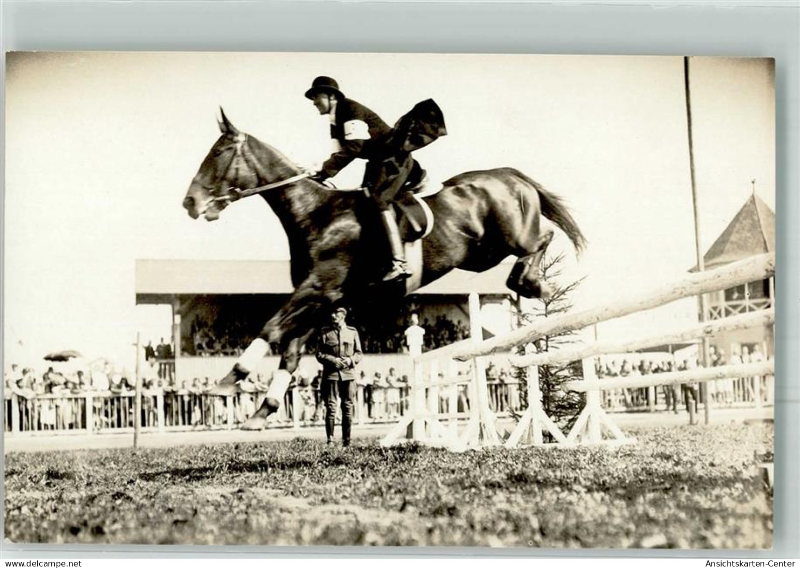 13301895 - Ried im Innkreis