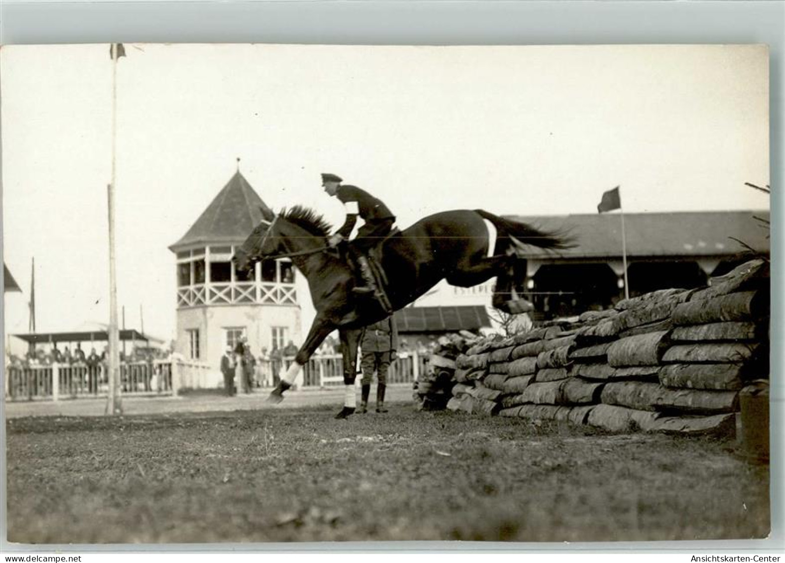 13301896 - Ried im Innkreis