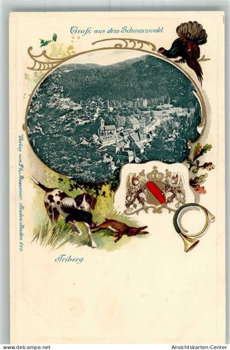 13307138 - Triberg im Schwarzwald