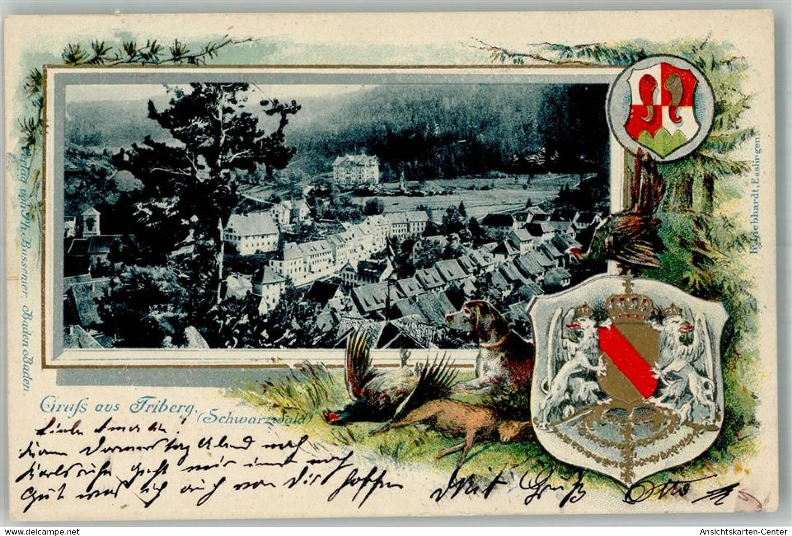 13307216 - Triberg im Schwarzwald