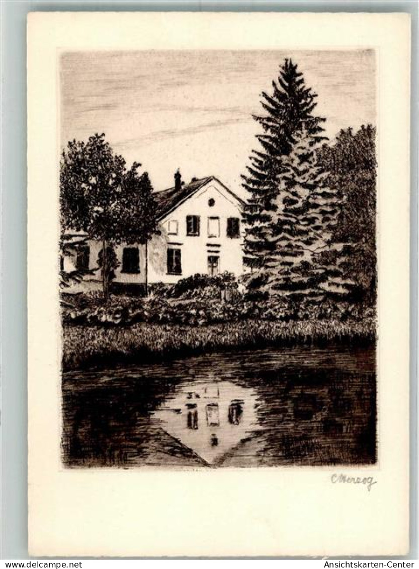 13307309 - Briesen Wabrzezno