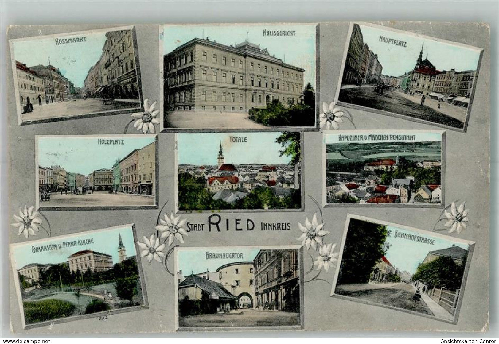 13307864 - Ried im Innkreis