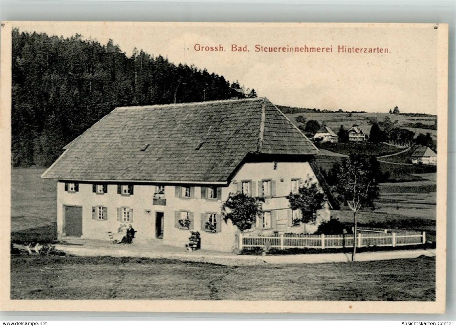 13308753 - Hinterzarten