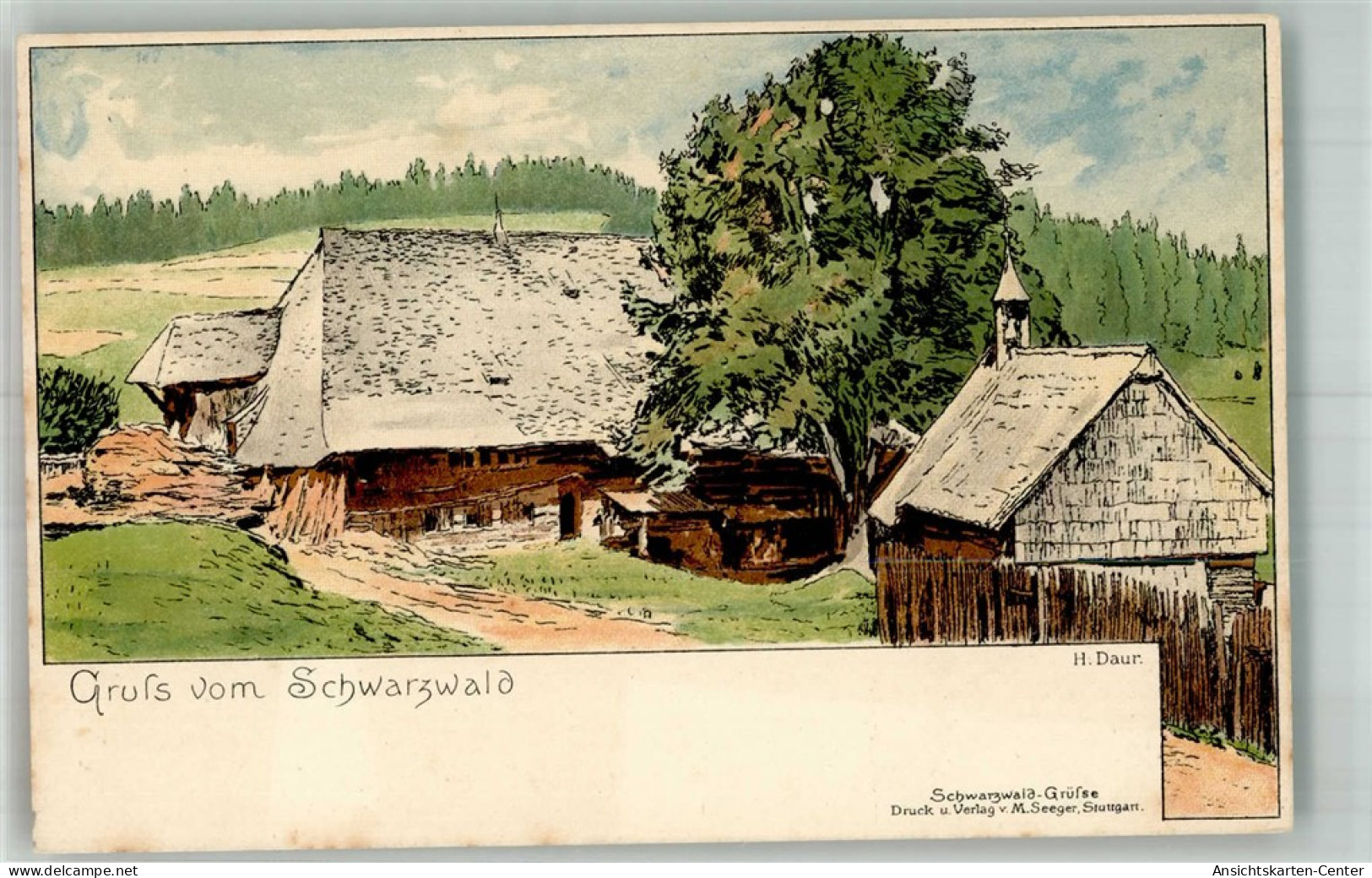 13309058 - Titisee Titisee-Neustadt