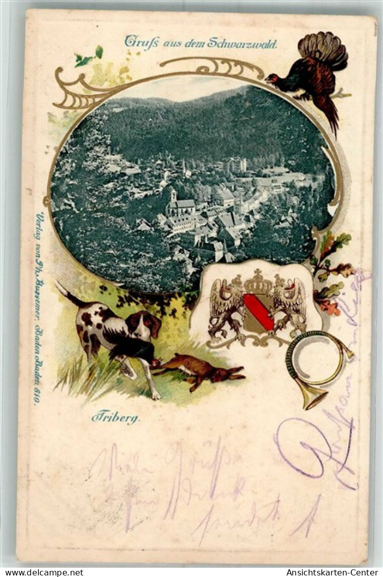 13310169 - Triberg im Schwarzwald