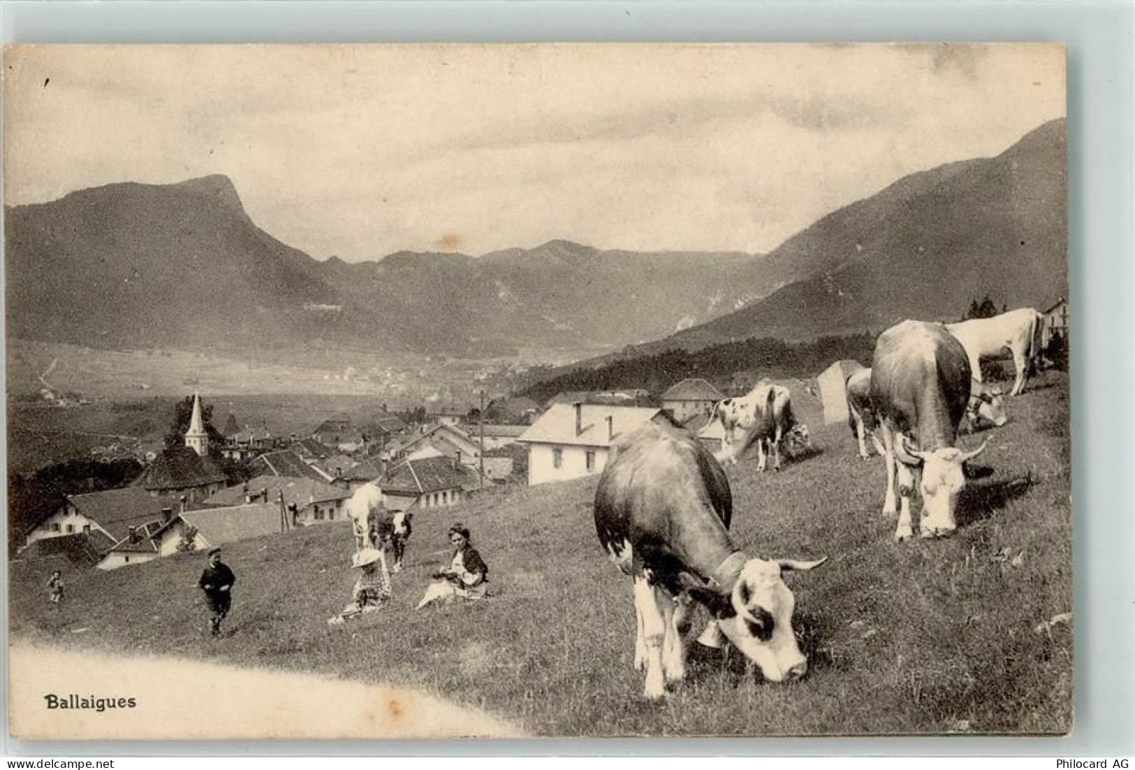 1338 Ballaigues 1911 - Kuhherde - 13936169