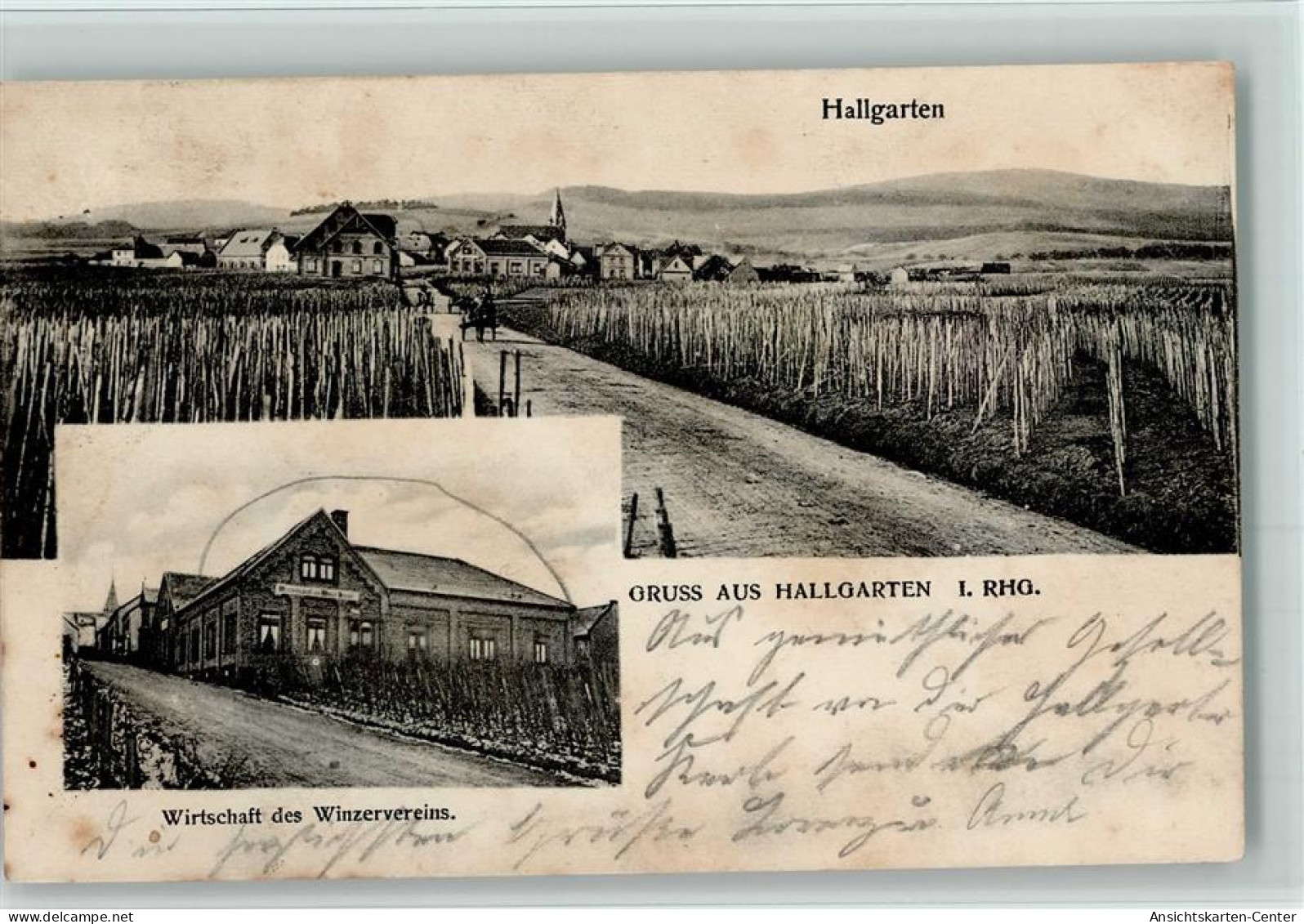 13401834 - Hallgarten , Rheingau