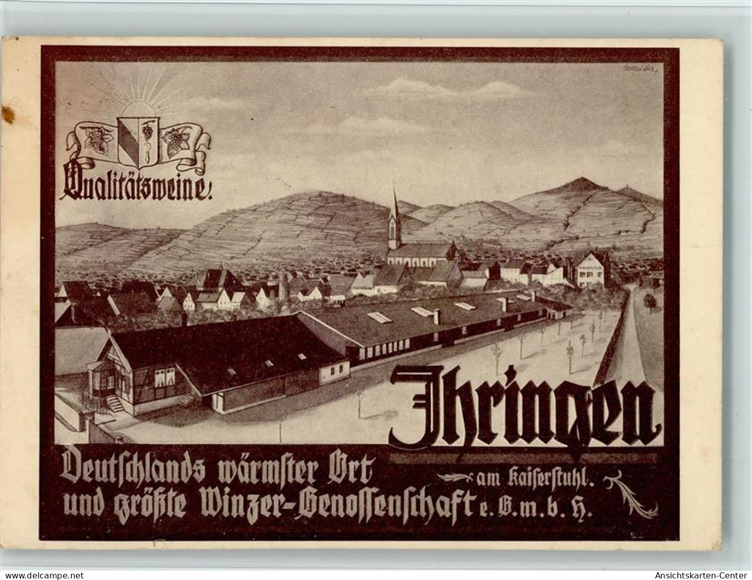 13405004 - Ihringen
