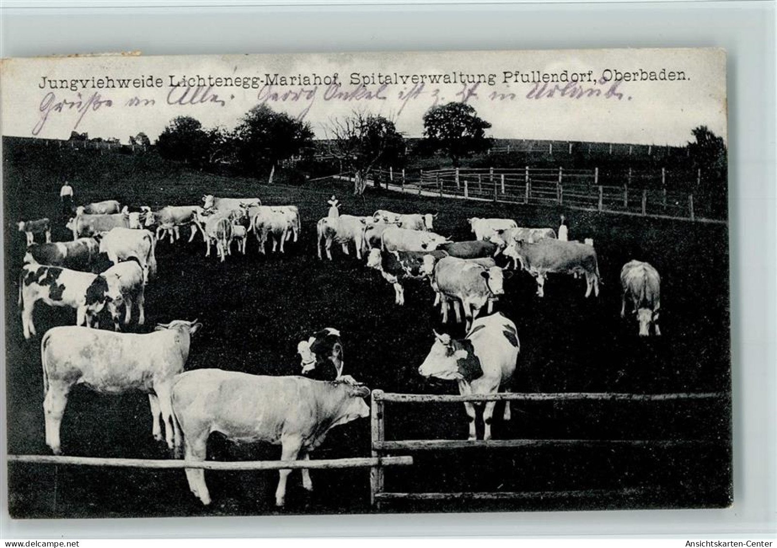 13408979 - Pfullendorf , Baden