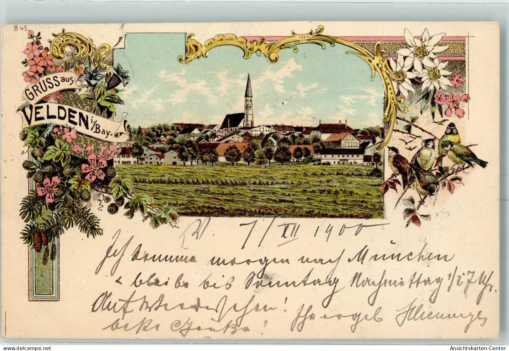 13424319 - Velden , Vils