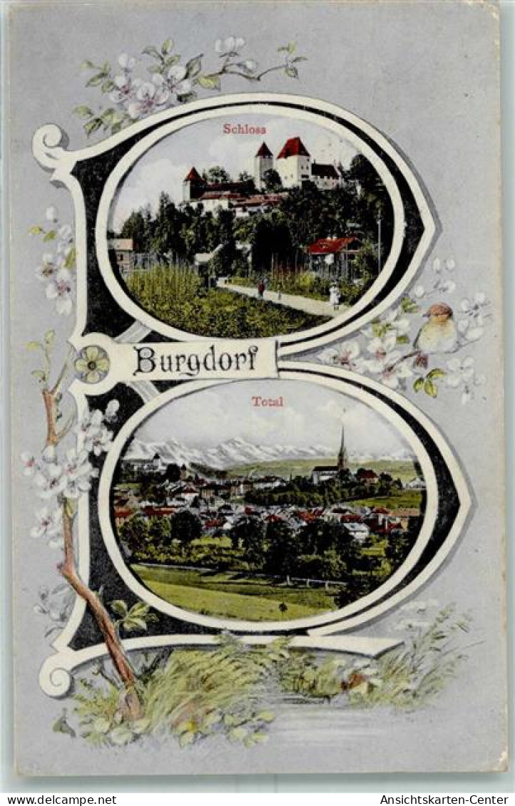 13426048 - Burgdorf Berthoud