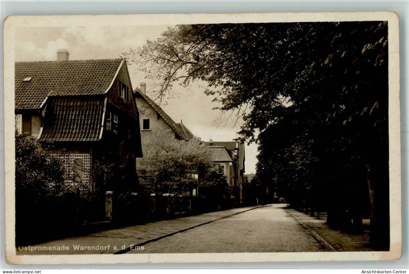 13427134 - Warendorf