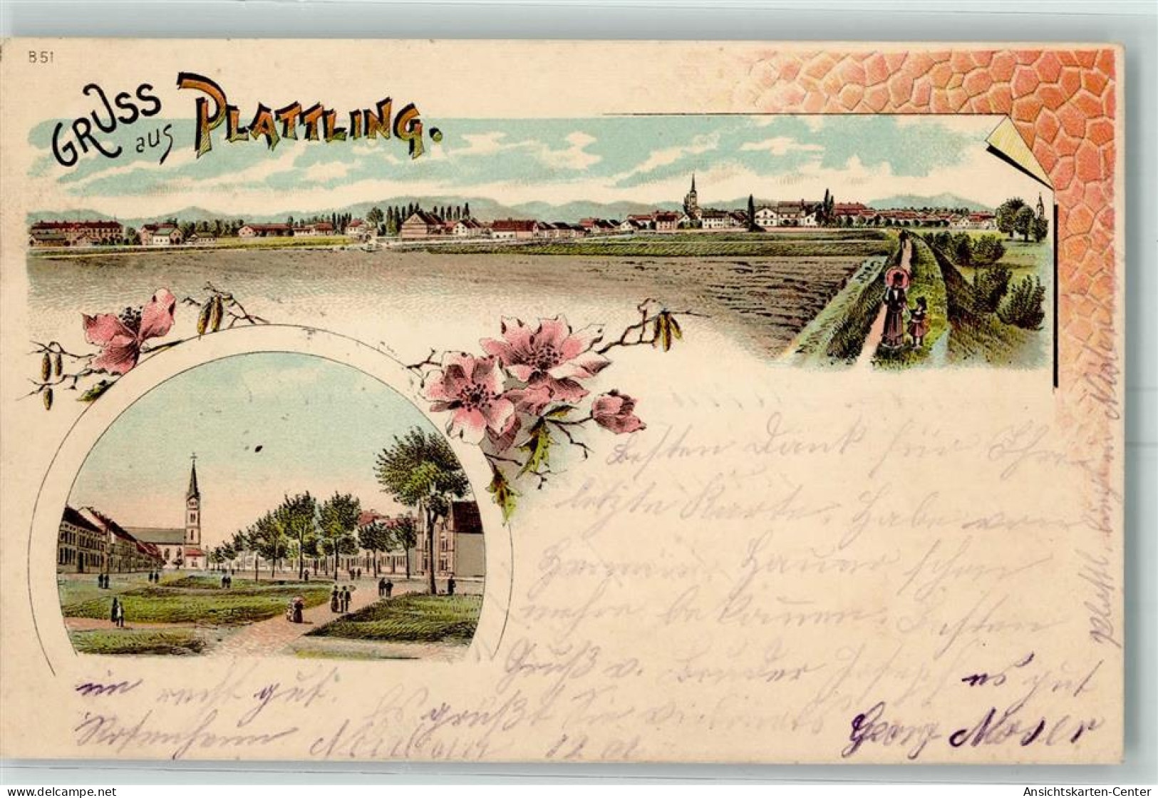 13432869 - Plattling