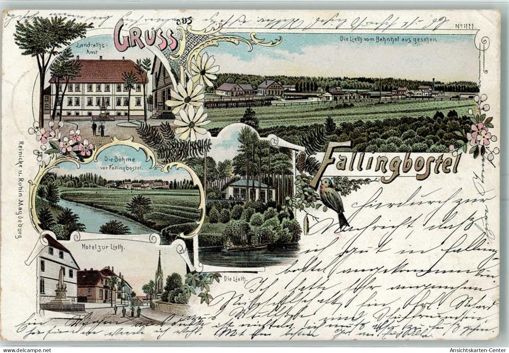 13434419 - Fallingbostel