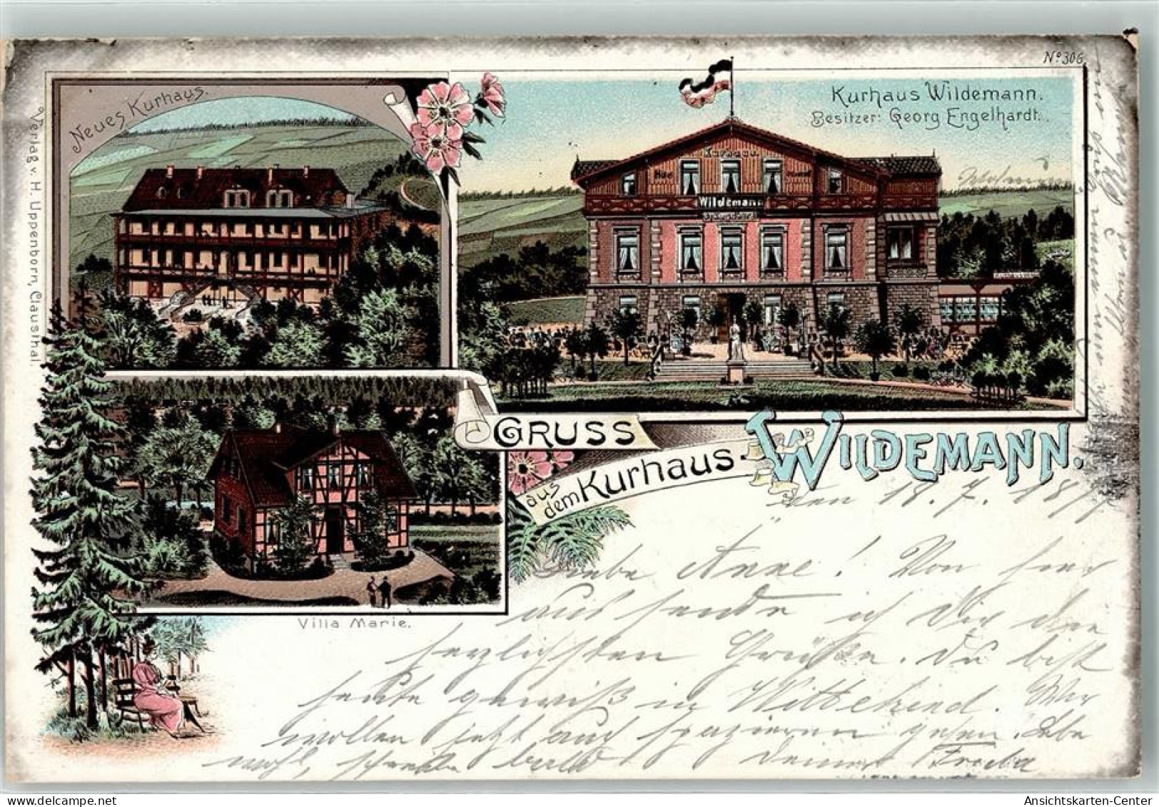 13453480 - Wildemann