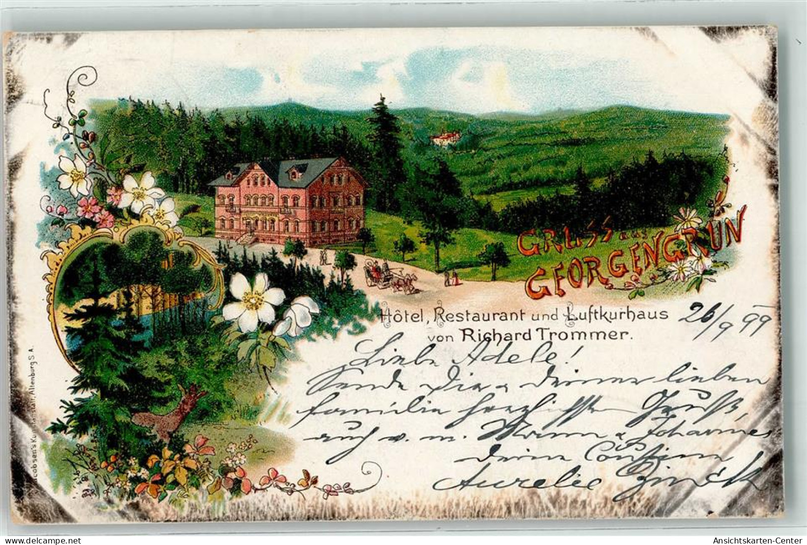 13454637 - Auerbach , Vogtl