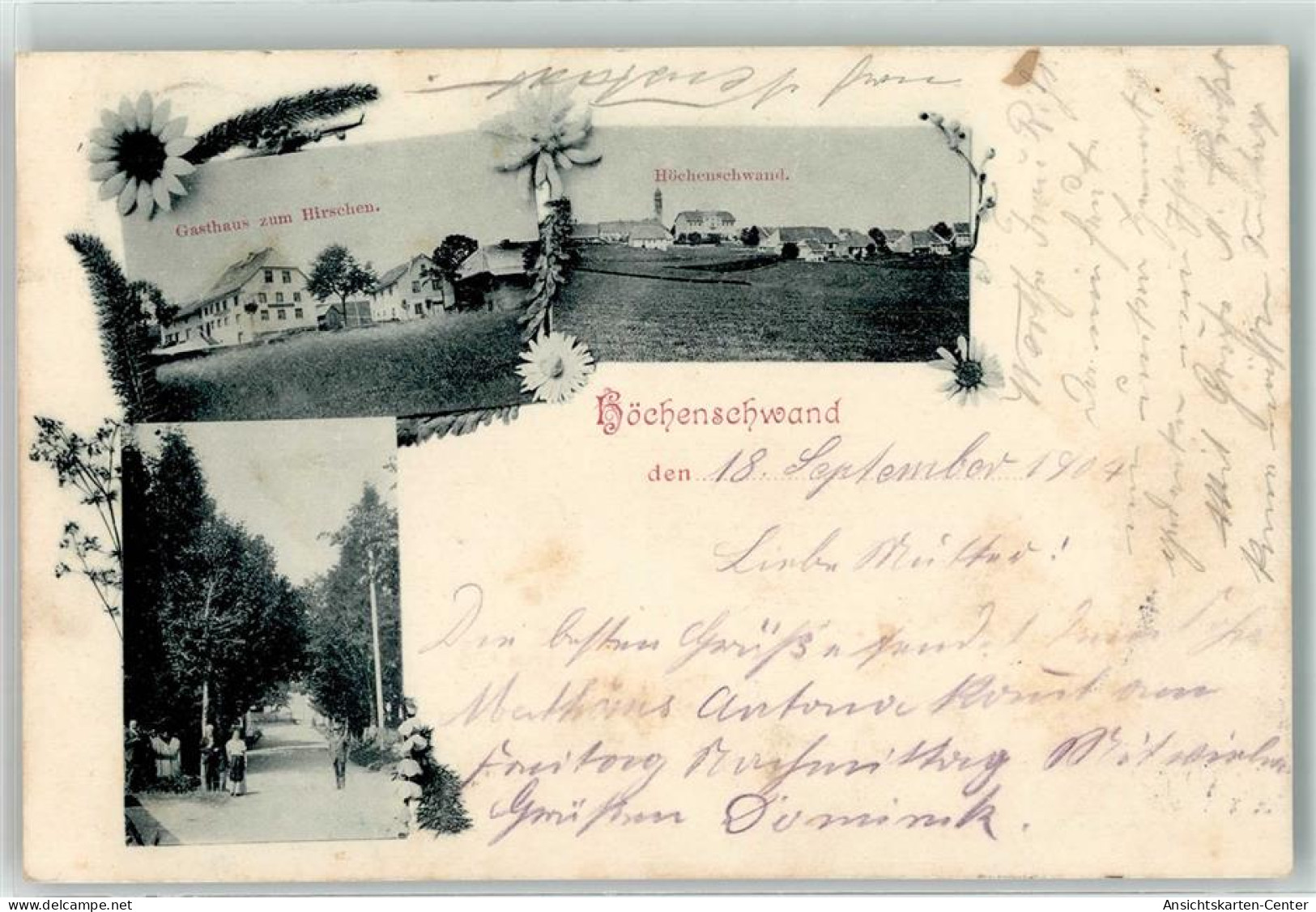 13458396 - Hoechenschwand