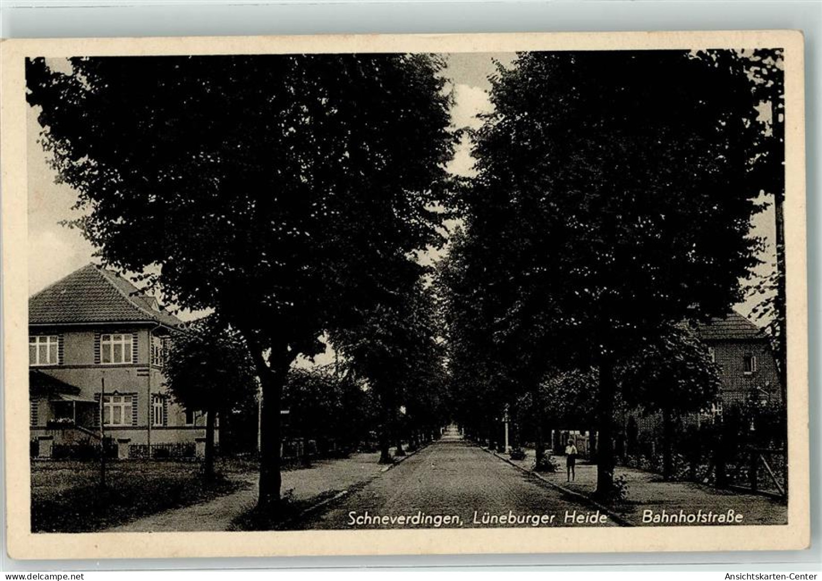 13469824 - Schneverdingen