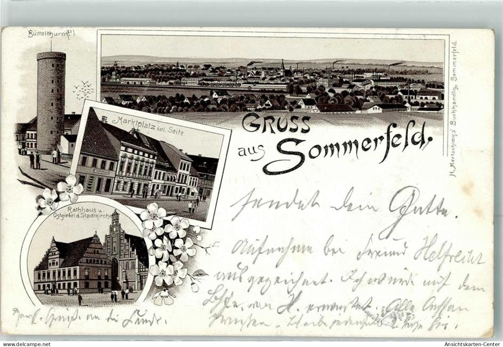 13478475 - Sommerfeld b Velten