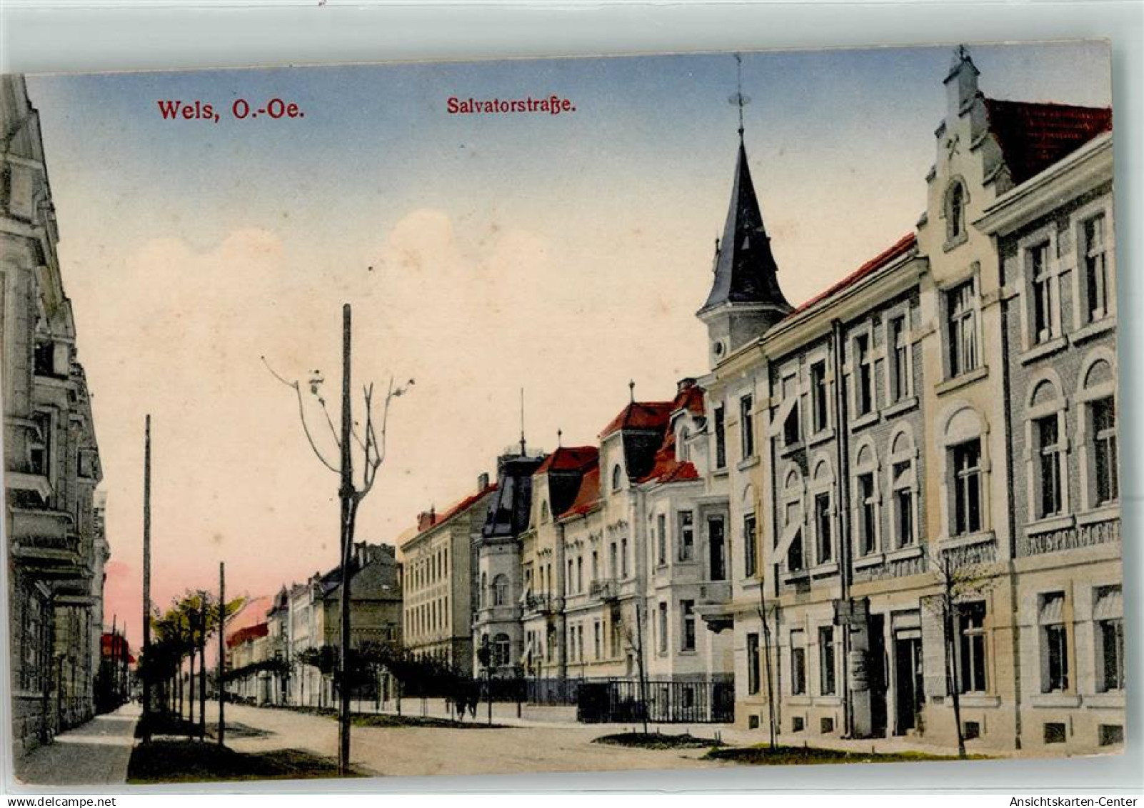 13479515 - Wels