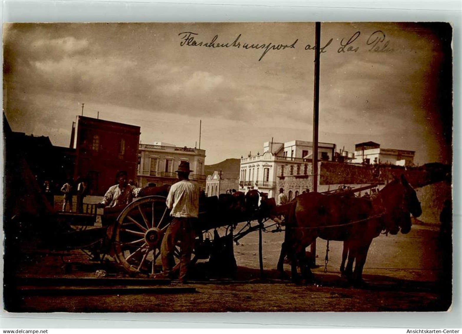 13481245 - Las Palmas de Gran Canaria