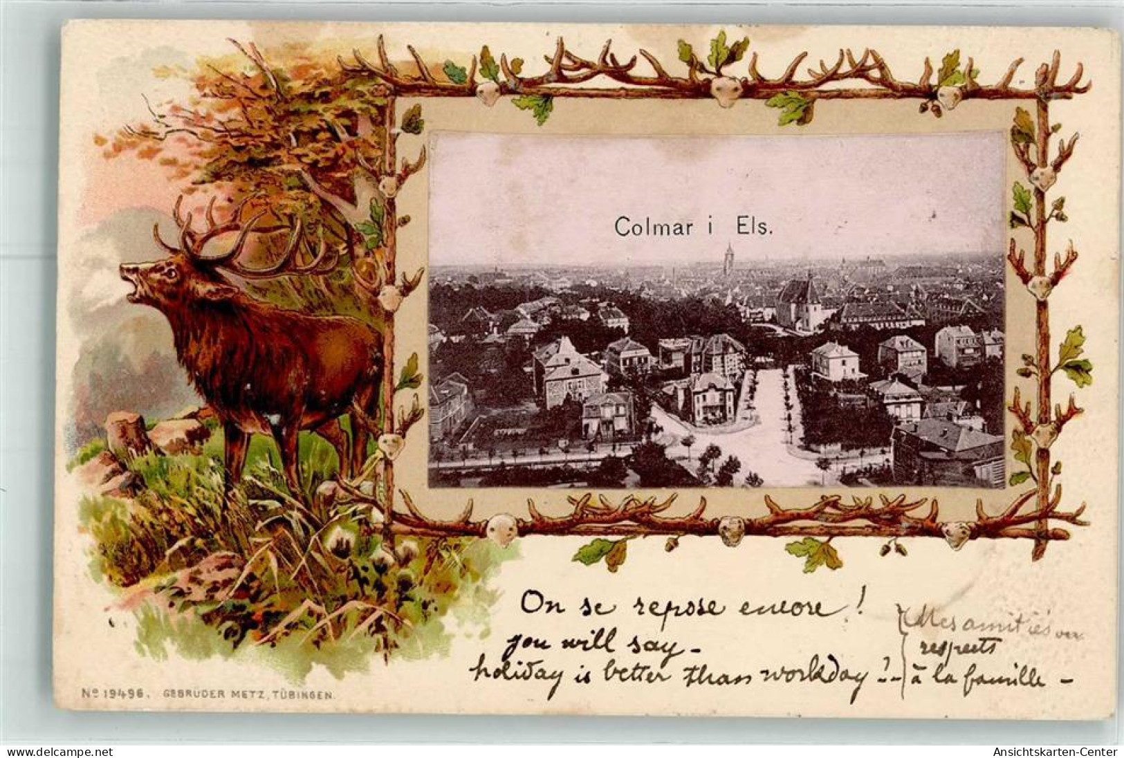 13481440 - Colmar Kolmar
