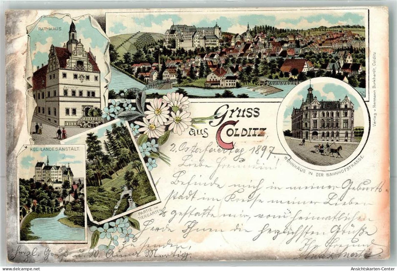 13483842 - Colditz