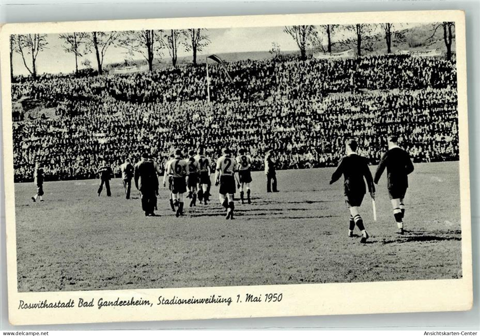 13484656 - Bad Gandersheim