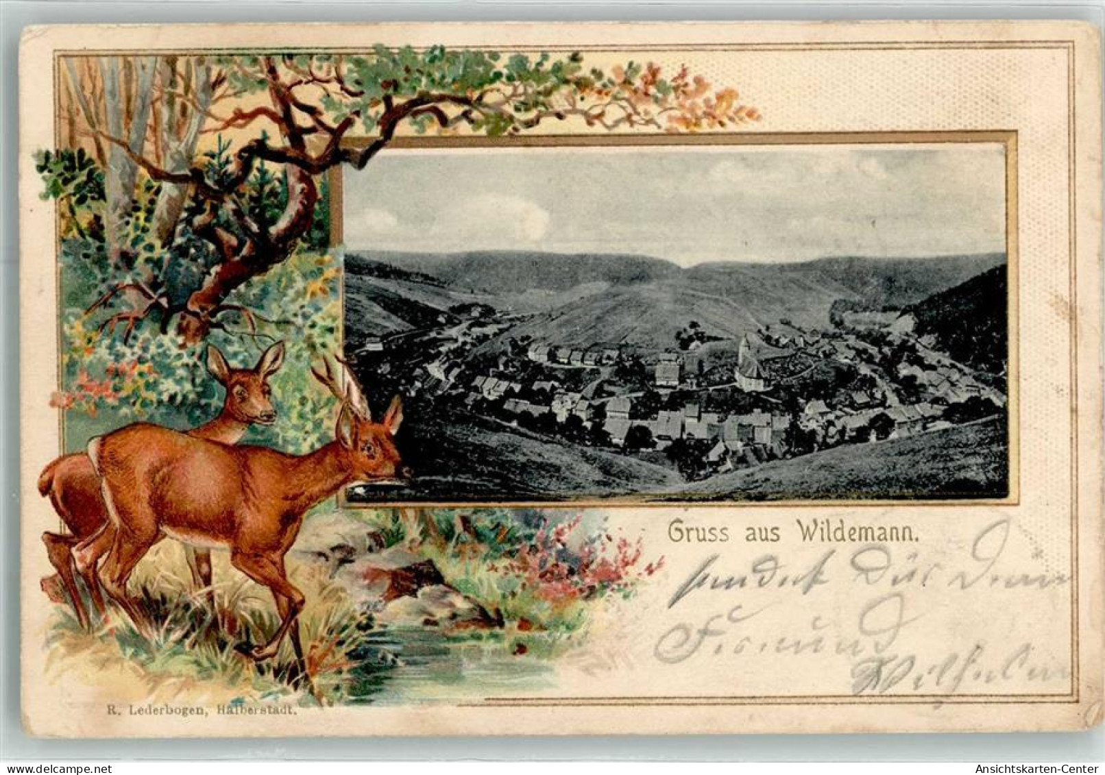 13485081 - Wildemann