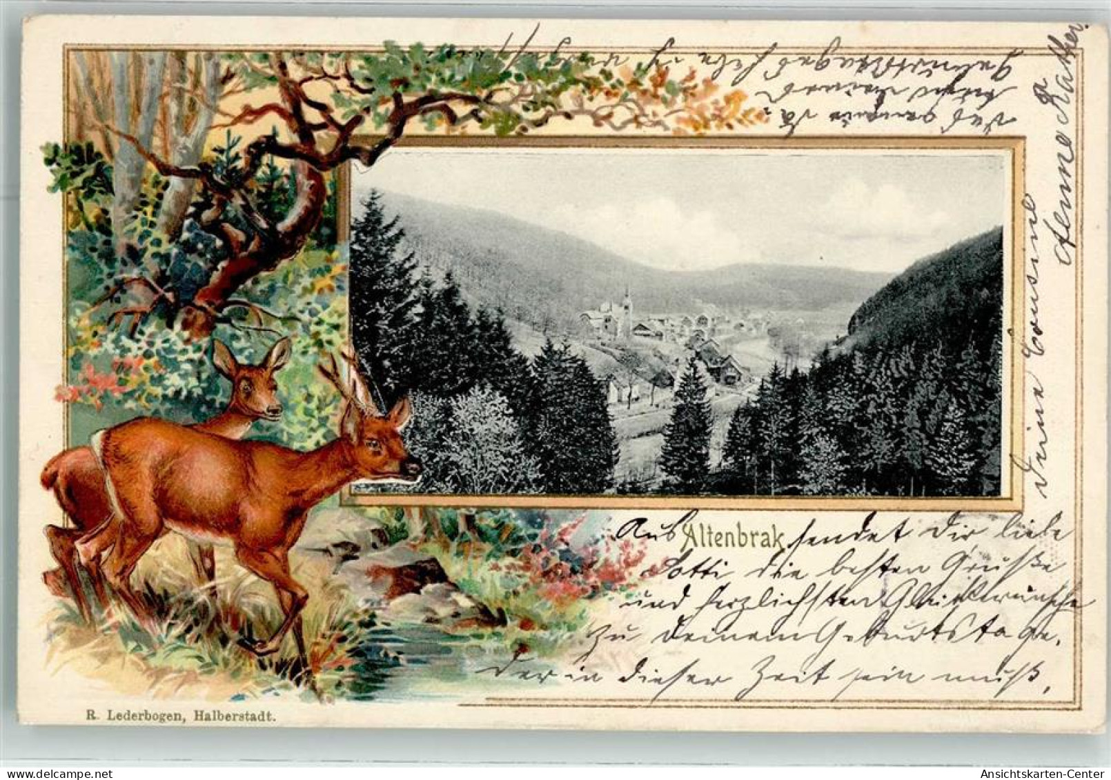 13491246 - Altenbrak