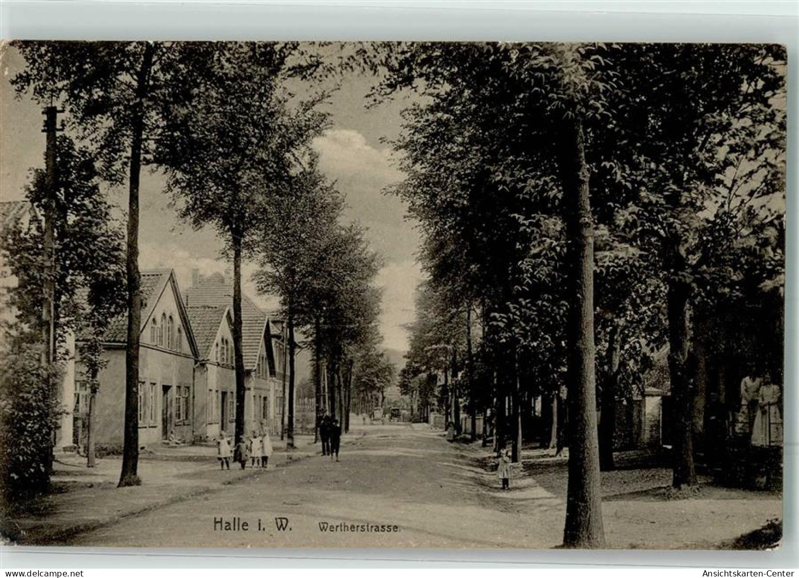 13498071 - Halle Westf.