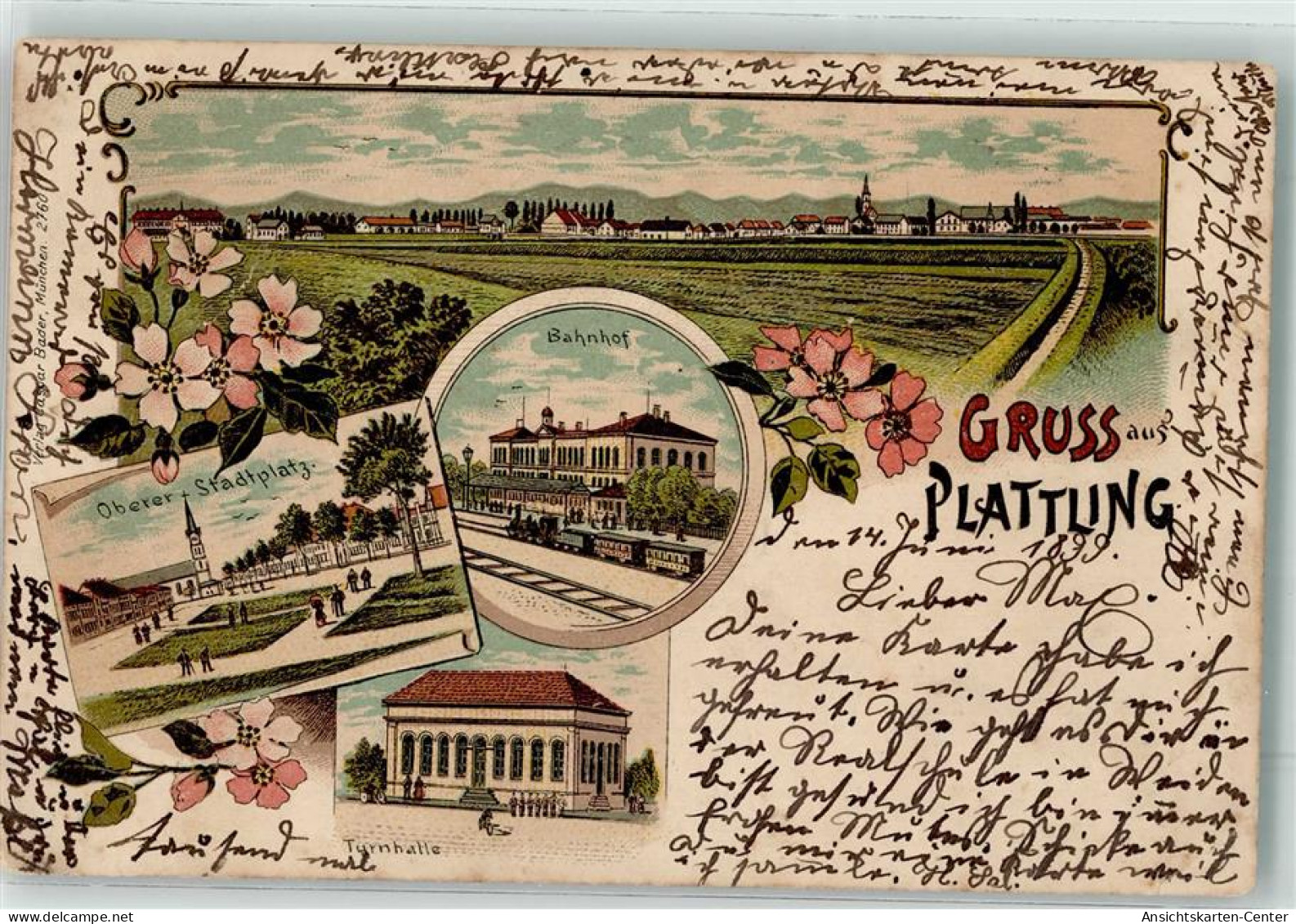 13498995 - Plattling