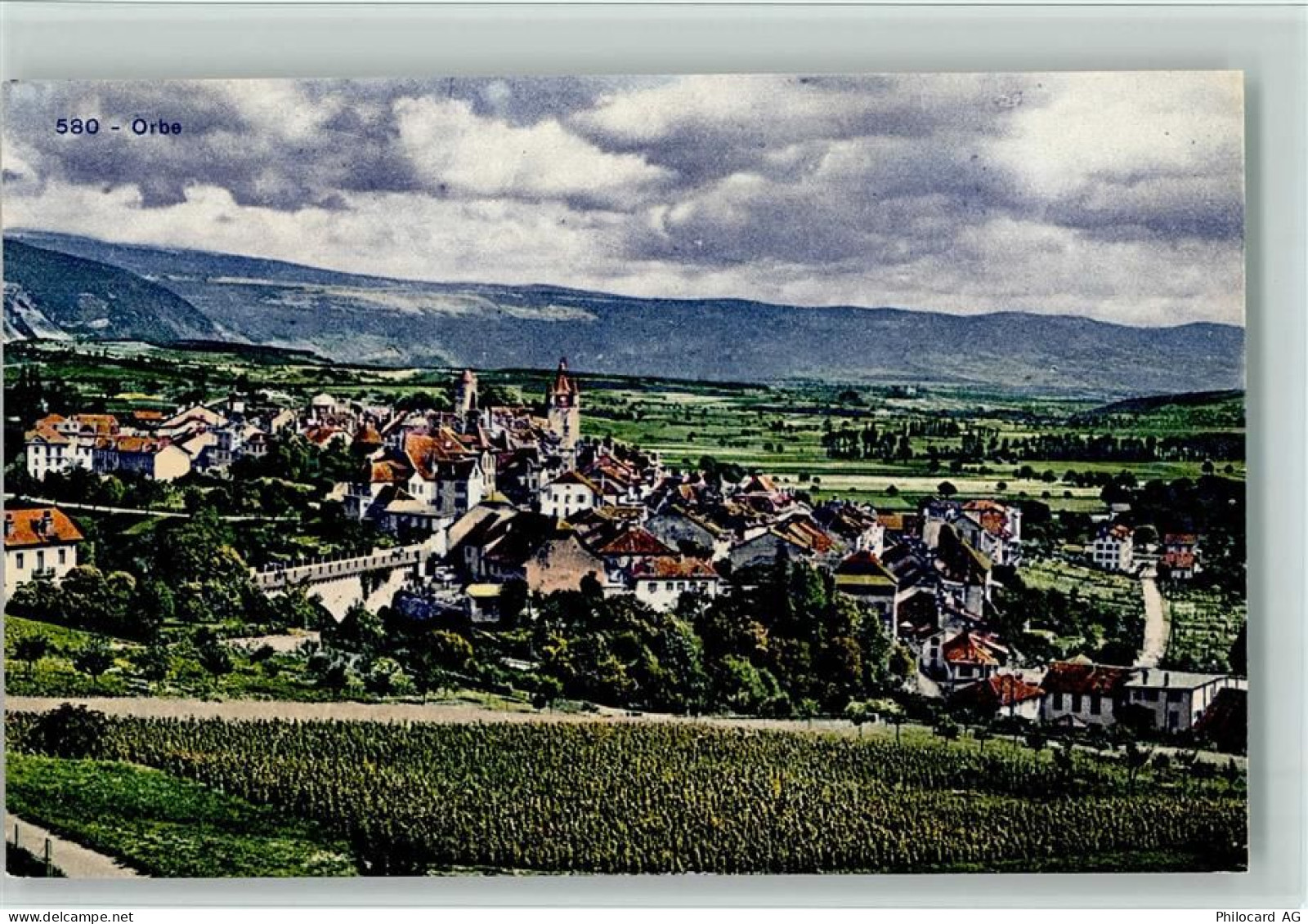 1350 Orbe - Reben - 11061708