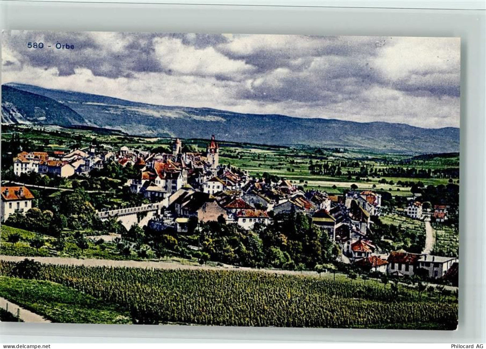 1350 Orbe - Reben - 12112646