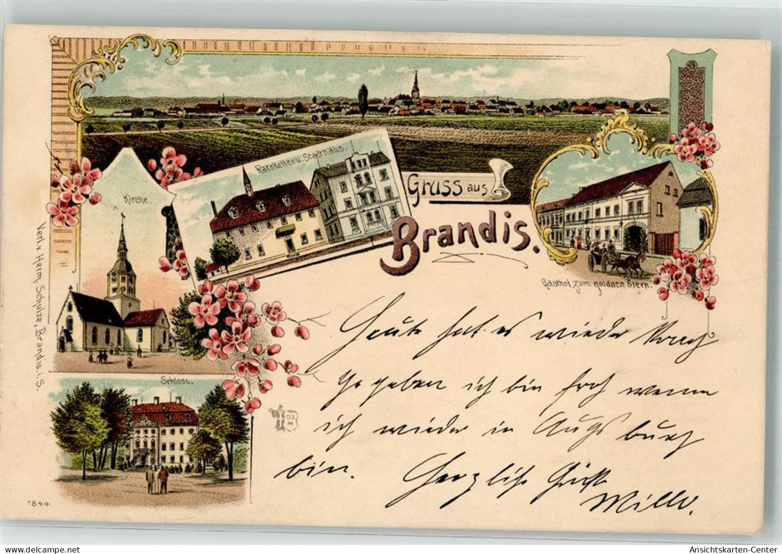 13505974 - Brandis b Wurzen