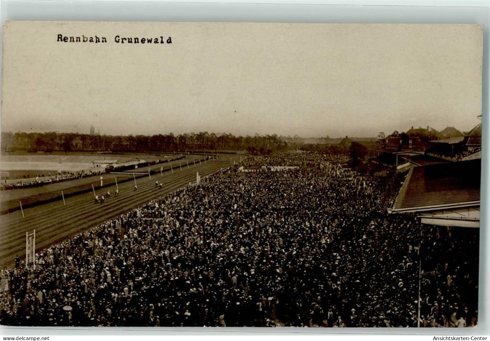 13508248 - Grunewald