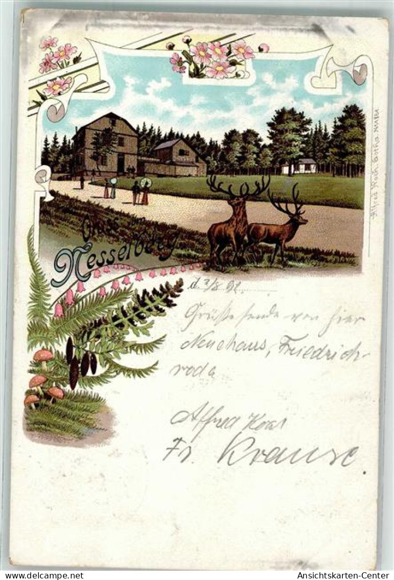 13508643 - Friedrichroda