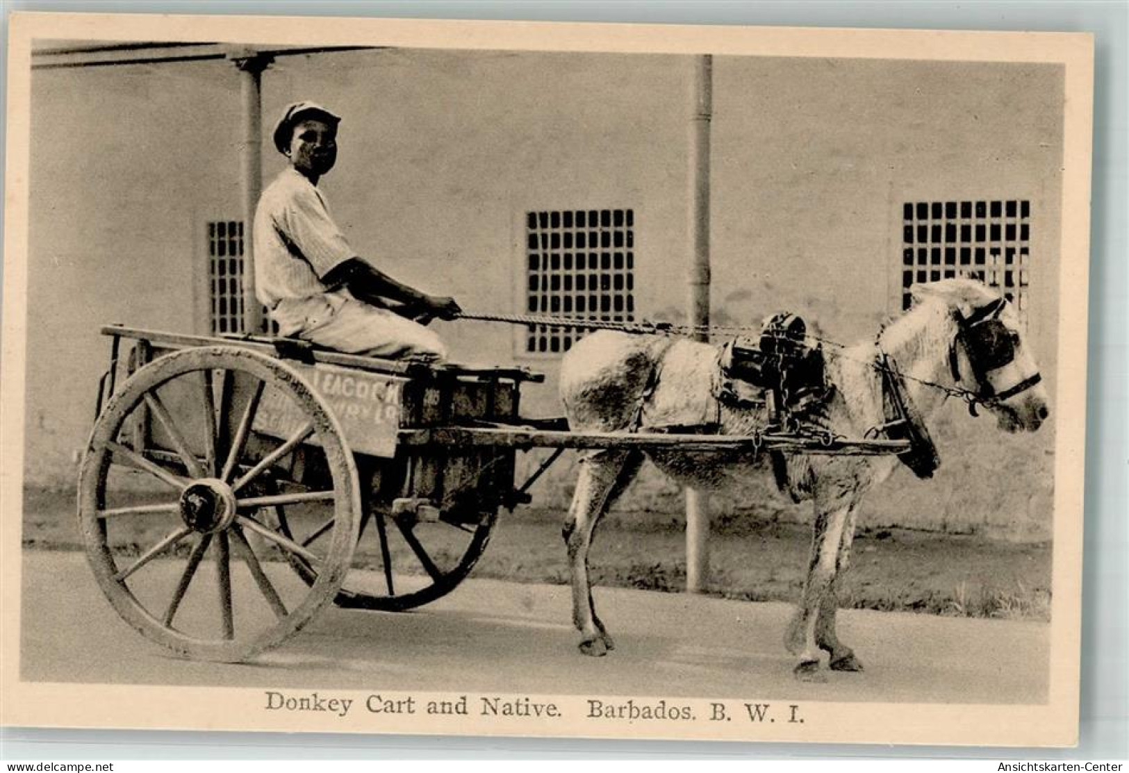 13512044 - Esel Eselkarre Eingeborener Barbados