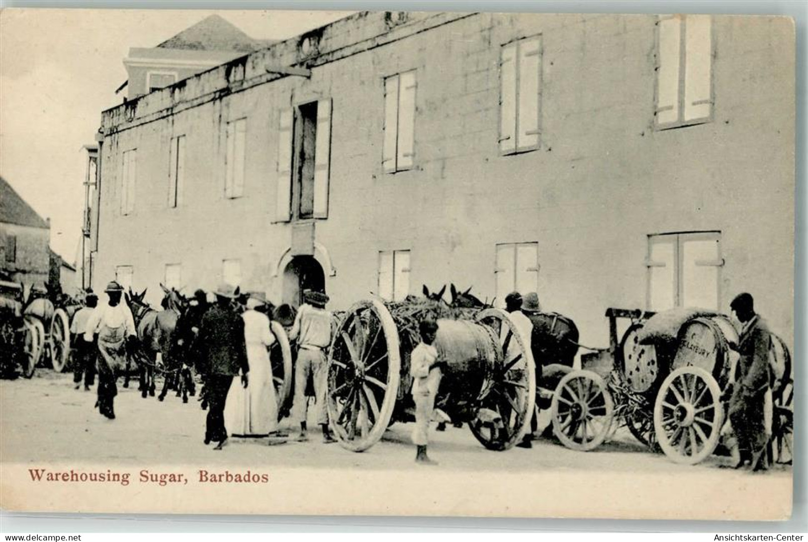 13512058 - Warehousing Sugar Langerung Zucker Eselkarren Barbados