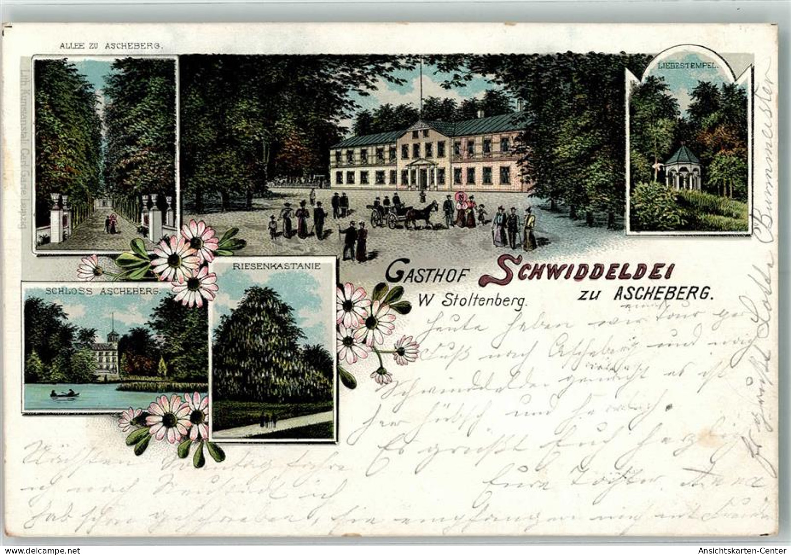 13513003 - Ascheberg Holstein