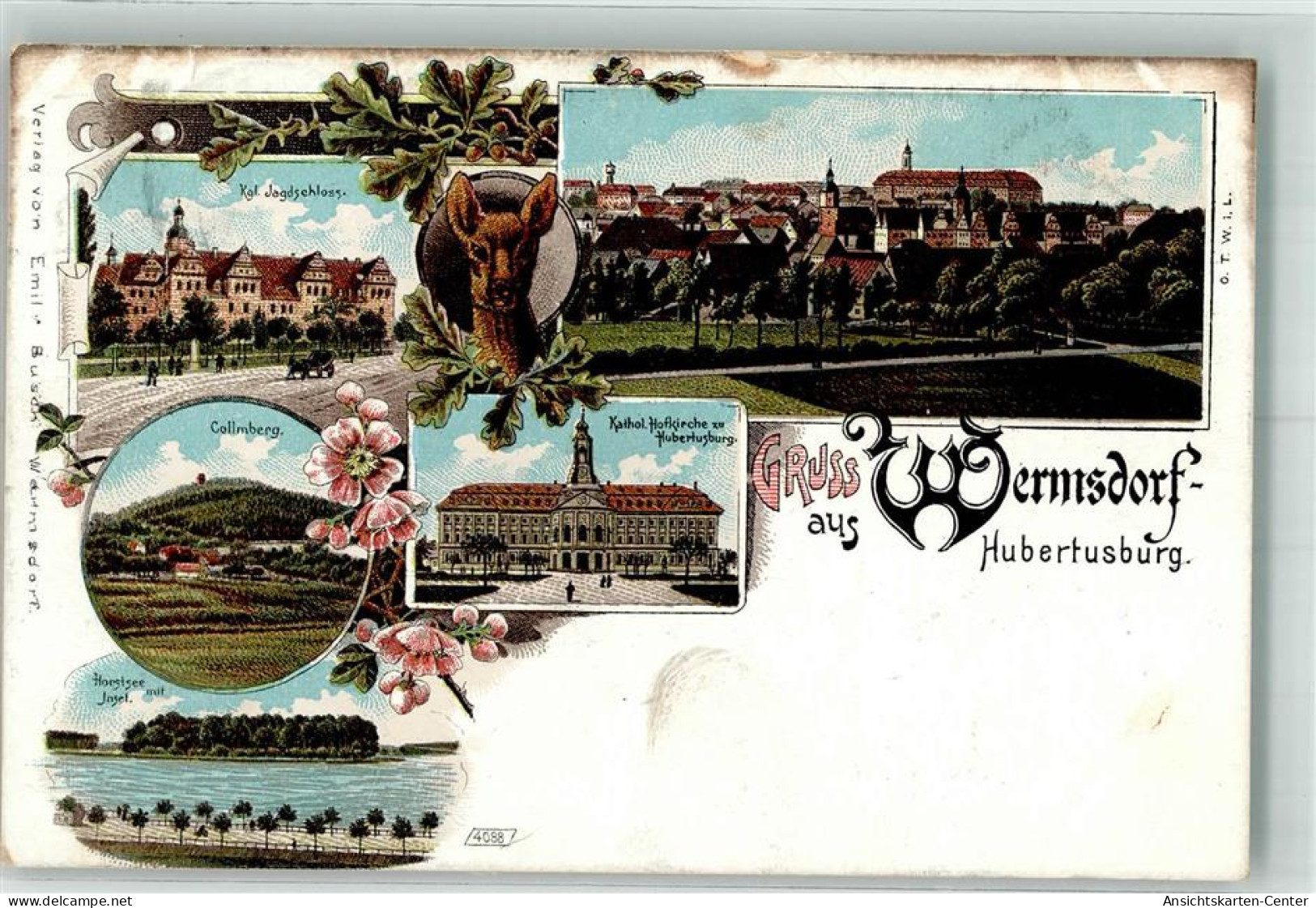 13516779 - Wermsdorf