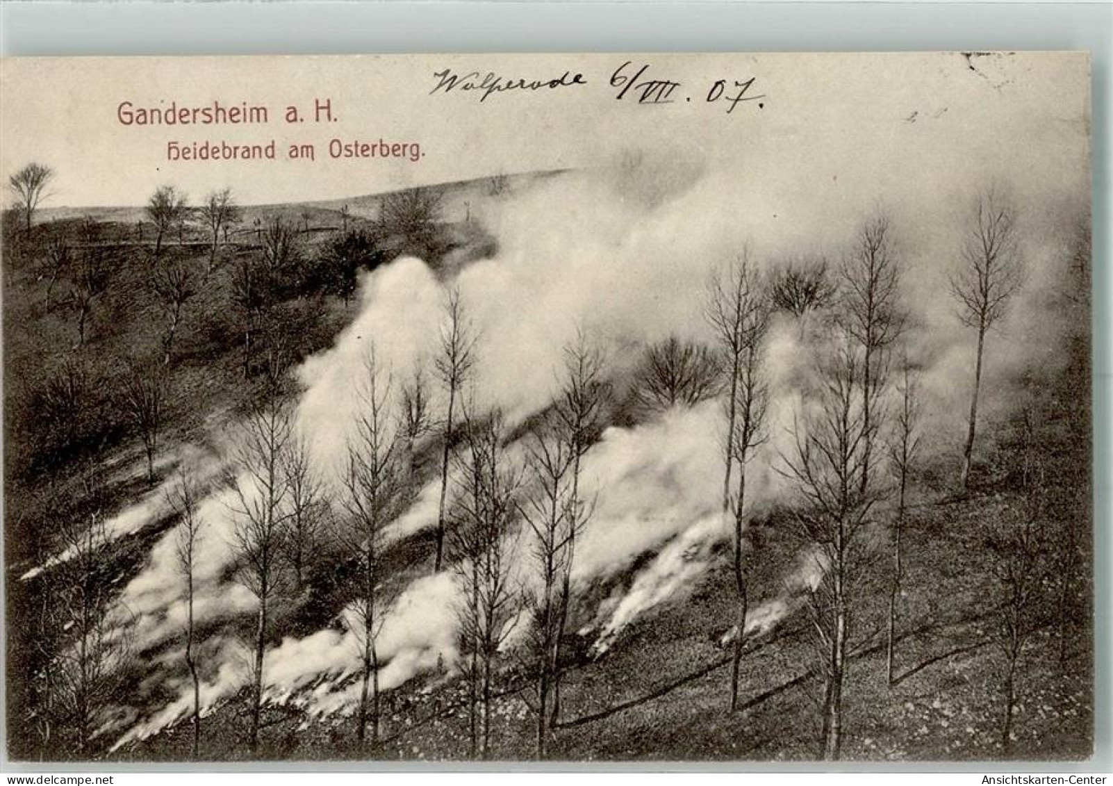 13517476 - Bad Gandersheim