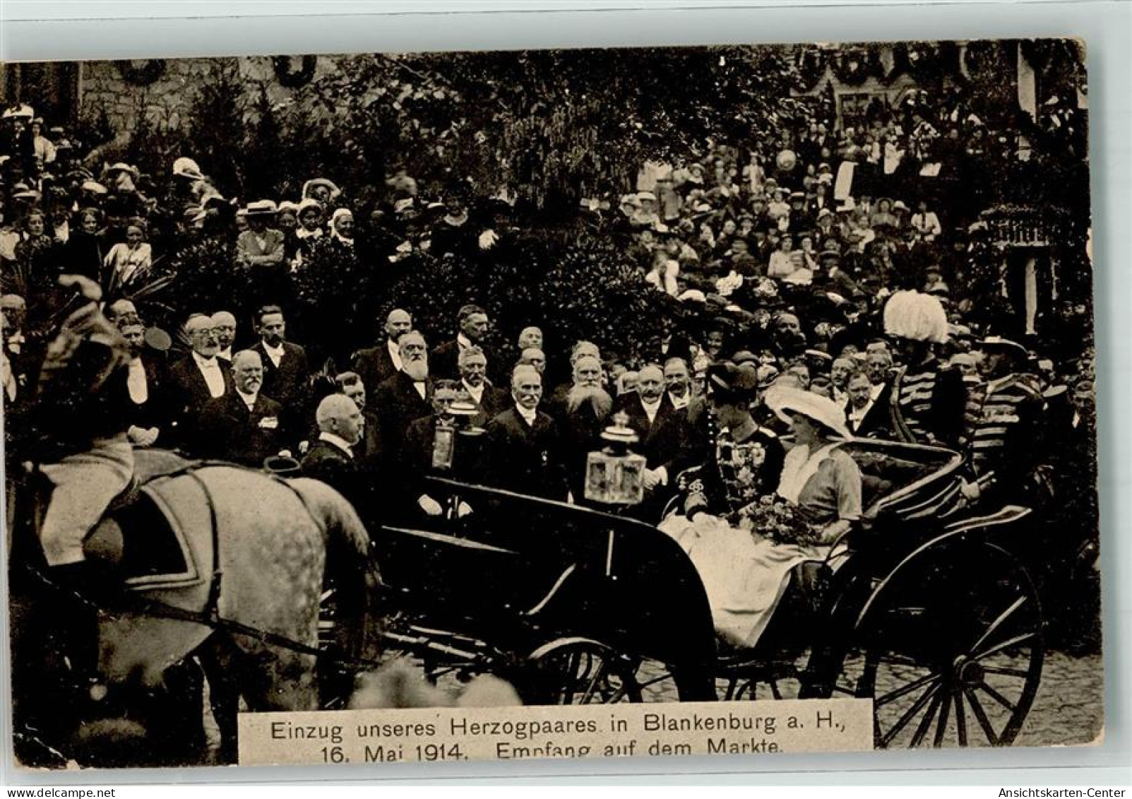 13519906 - Blankenburg Harz