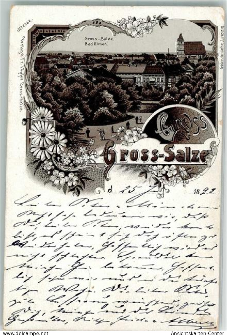 13523050 - Gross Salze