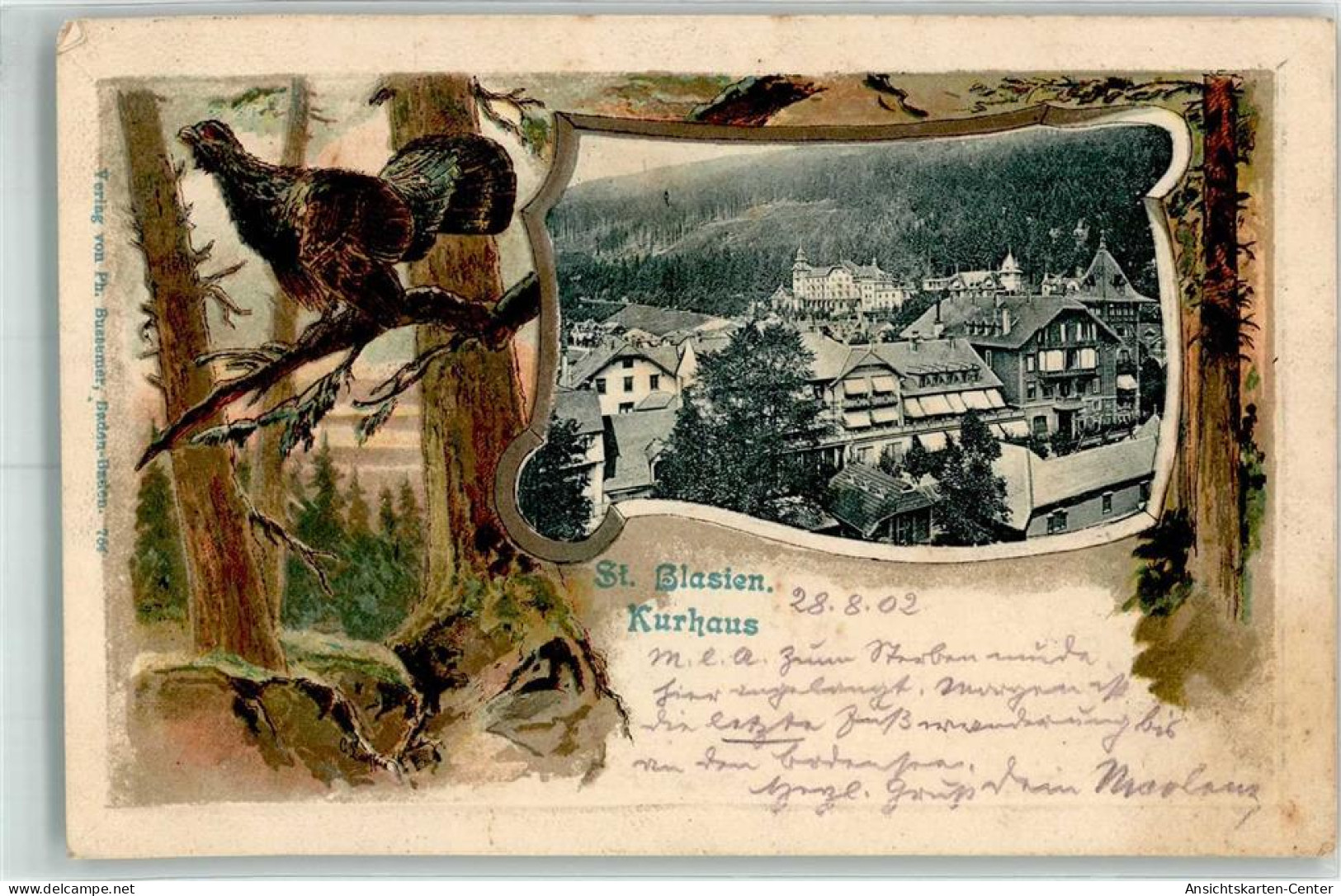 13525384 - St. Blasien