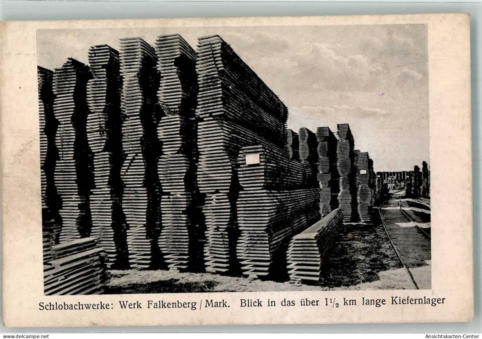 13528184 - Falkenberg , Mark